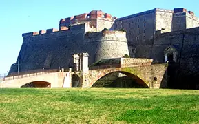 Савона