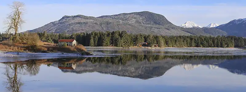 Клауок